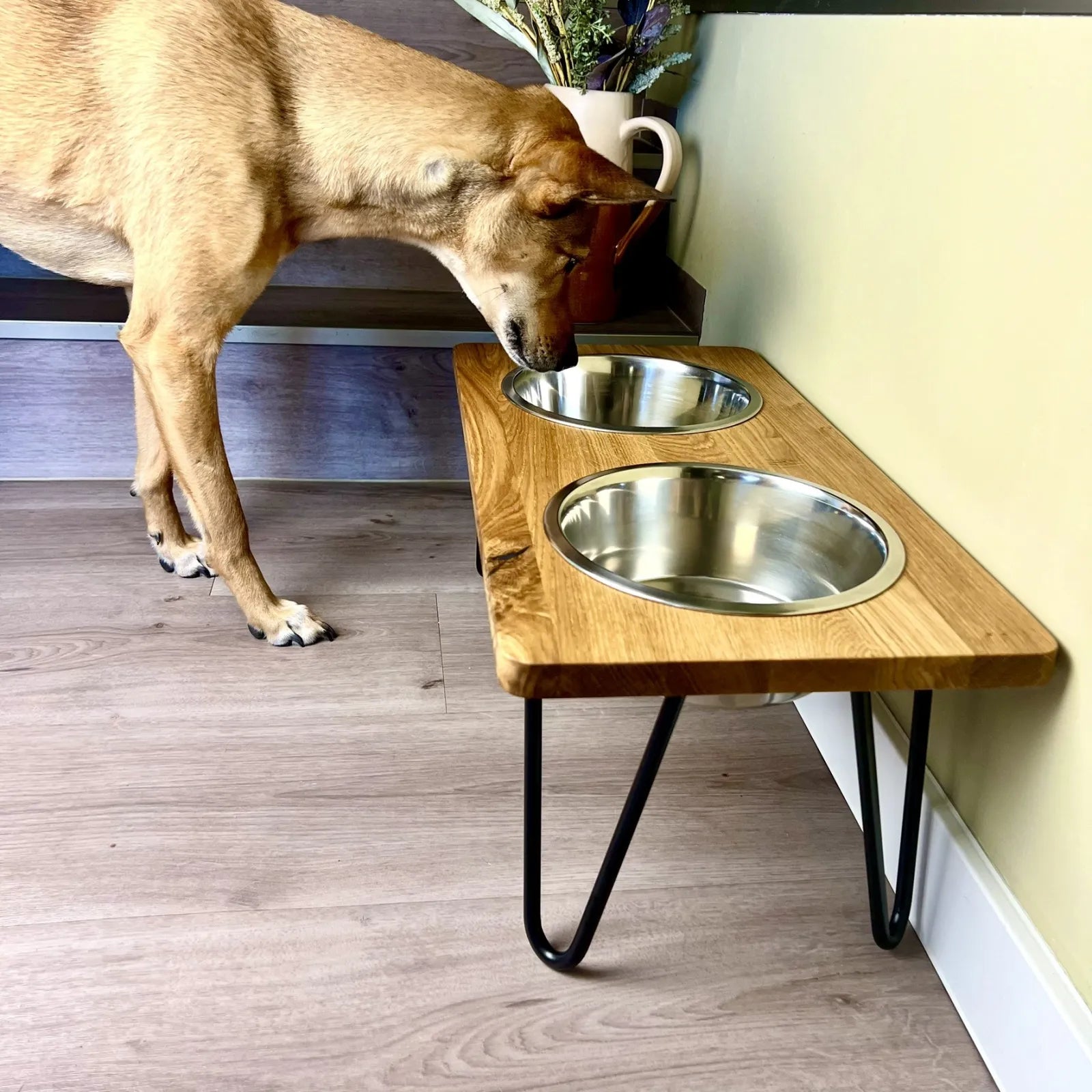 Futterstation für Hunde mit Edelstahlnäpfen und filigranen Fußgestellen 